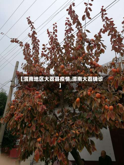 【渭南地区大荔县疫情,渭南大荔确诊】-第2张图片