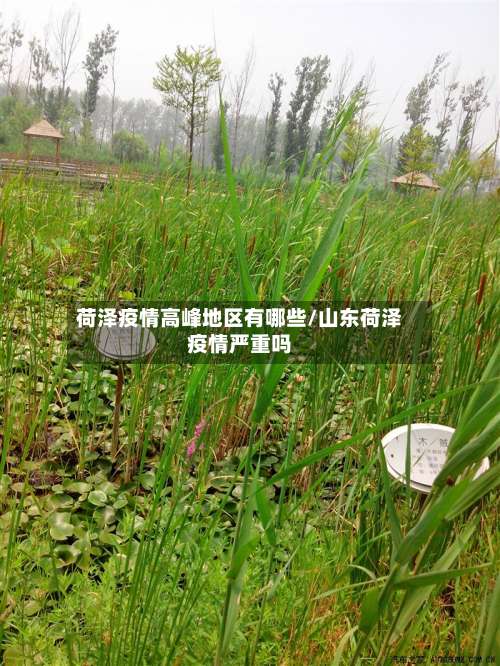 荷泽疫情高峰地区有哪些/山东荷泽疫情严重吗-第1张图片