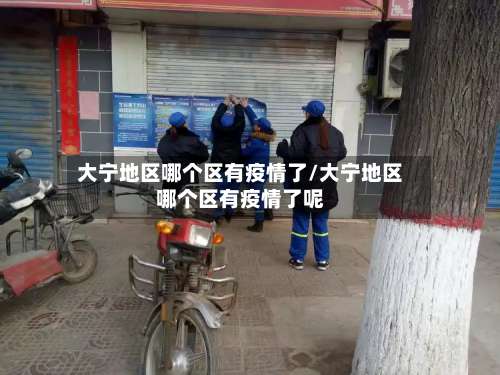 大宁地区哪个区有疫情了/大宁地区哪个区有疫情了呢-第1张图片