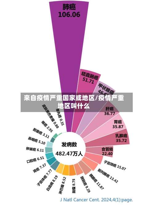 来自疫情严重国家或地区/疫情严重地区叫什么-第3张图片