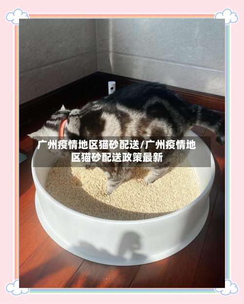 广州疫情地区猫砂配送/广州疫情地区猫砂配送政策最新-第3张图片