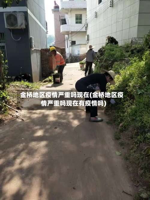 金桥地区疫情严重吗现在(金桥地区疫情严重吗现在有疫情吗)-第1张图片