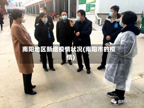 南阳地区新增疫情状况(南阳市的疫情)-第2张图片