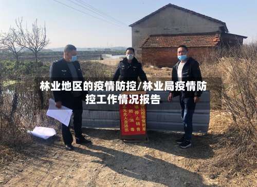 林业地区的疫情防控/林业局疫情防控工作情况报告-第2张图片