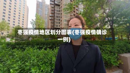 枣强疫情地区划分图表(枣强疫情确诊一例)-第2张图片