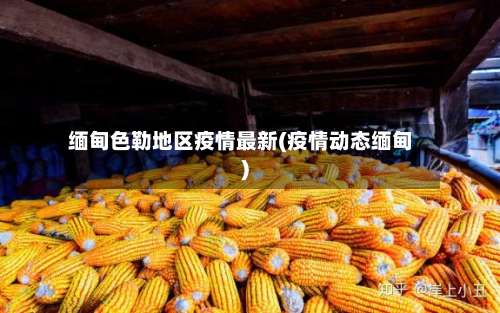 缅甸色勒地区疫情最新(疫情动态缅甸)-第1张图片