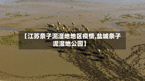 【江苏条子泥湿地地区疫情,盐城条子泥湿地公园】-第2张图片