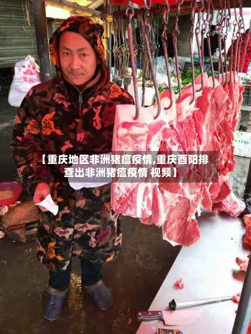 【重庆地区非洲猪瘟疫情,重庆酉阳排查出非洲猪瘟疫情 视频】-第1张图片