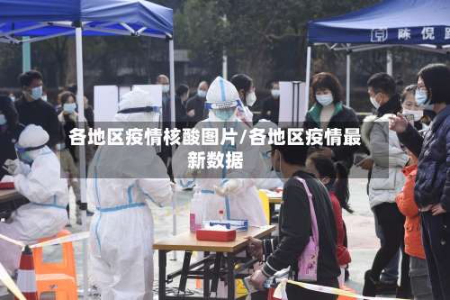 各地区疫情核酸图片/各地区疫情最新数据-第1张图片