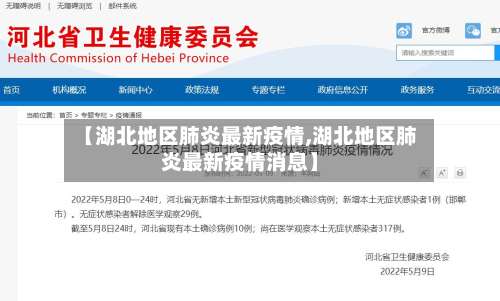 【湖北地区肺炎最新疫情,湖北地区肺炎最新疫情消息】-第2张图片