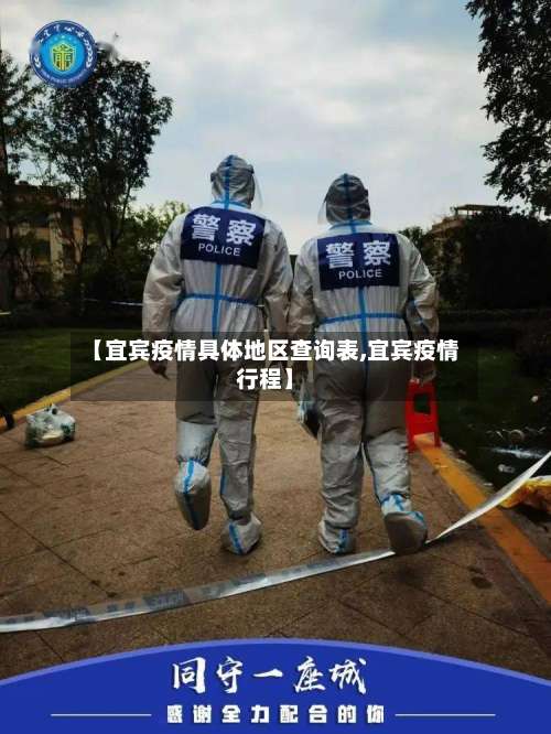 【宜宾疫情具体地区查询表,宜宾疫情行程】-第2张图片
