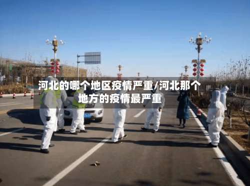 河北的哪个地区疫情严重/河北那个地方的疫情最严重-第2张图片