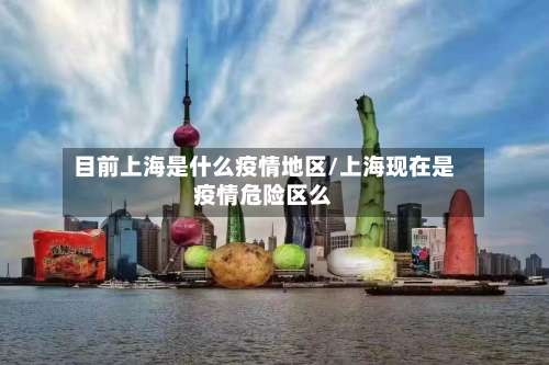 目前上海是什么疫情地区/上海现在是疫情危险区么-第2张图片