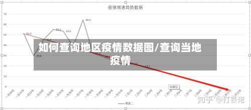 如何查询地区疫情数据图/查询当地疫情-第1张图片