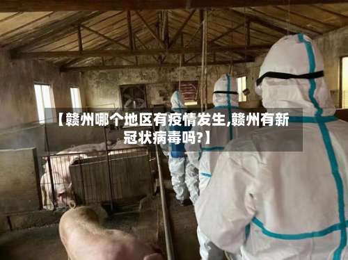 【赣州哪个地区有疫情发生,赣州有新冠状病毒吗?】-第1张图片