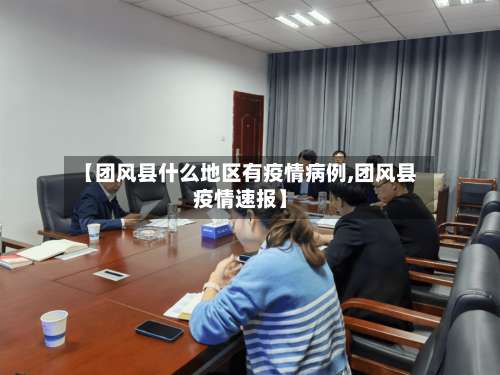【团风县什么地区有疫情病例,团风县疫情速报】-第2张图片
