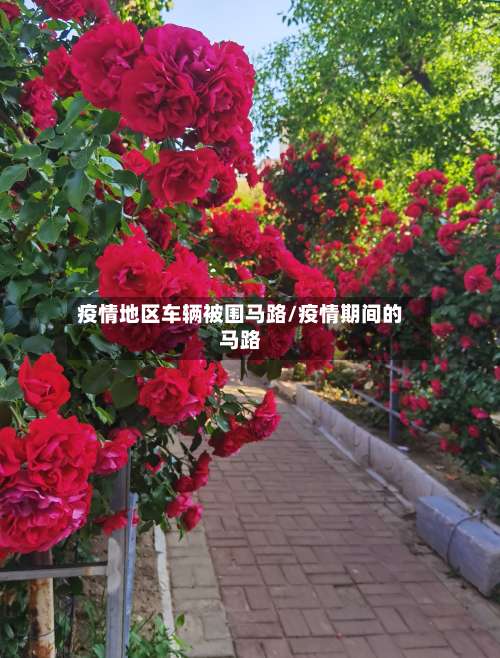 疫情地区车辆被围马路/疫情期间的马路-第3张图片