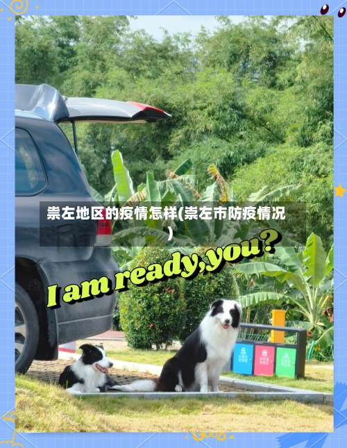 祟左地区的疫情怎样(崇左市防疫情况)-第2张图片
