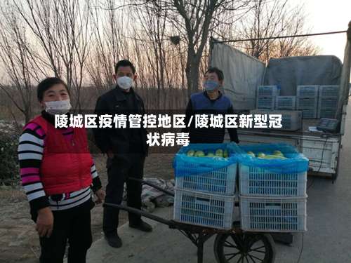 陵城区疫情管控地区/陵城区新型冠状病毒-第2张图片