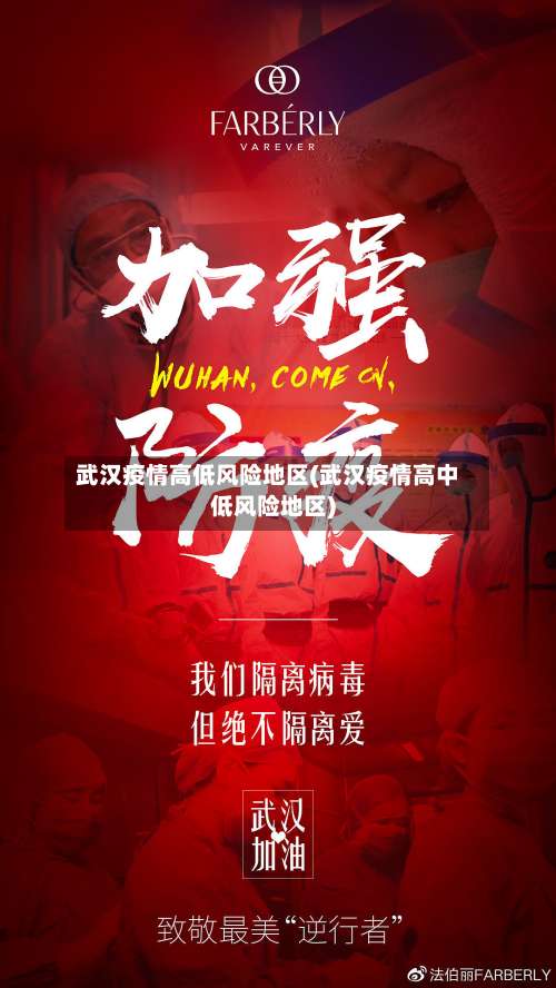 武汉疫情高低风险地区(武汉疫情高中低风险地区)-第1张图片