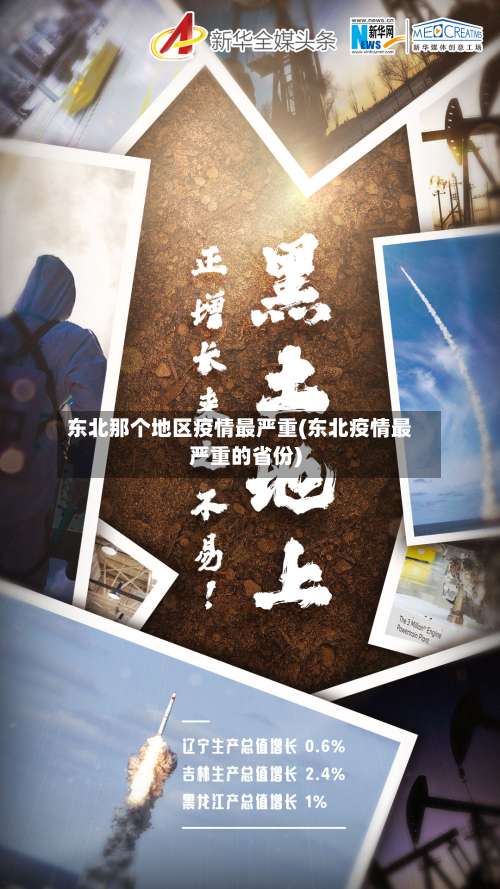 东北那个地区疫情最严重(东北疫情最严重的省份)-第2张图片