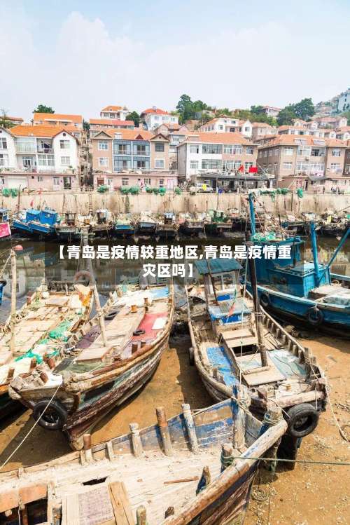 【青岛是疫情较重地区,青岛是疫情重灾区吗】-第2张图片