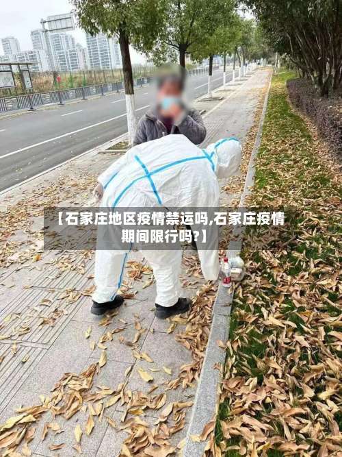 【石家庄地区疫情禁运吗,石家庄疫情期间限行吗?】-第1张图片