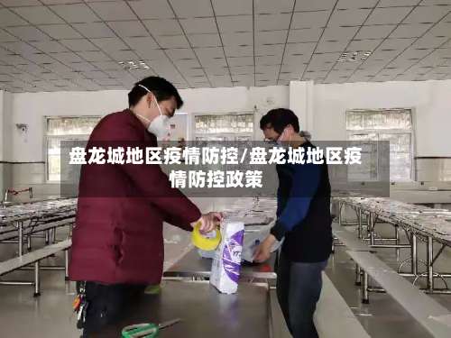 盘龙城地区疫情防控/盘龙城地区疫情防控政策-第1张图片