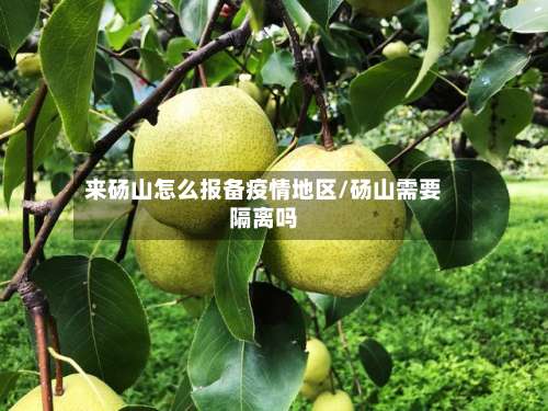 来砀山怎么报备疫情地区/砀山需要隔离吗-第1张图片