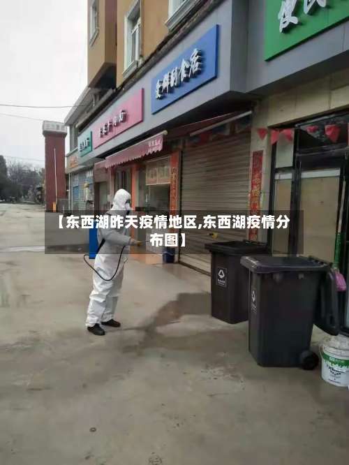 【东西湖昨天疫情地区,东西湖疫情分布图】-第2张图片