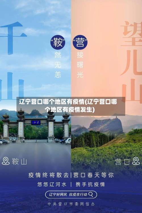 辽宁营口哪个地区有疫情(辽宁营口哪个地区有疫情发生)-第3张图片