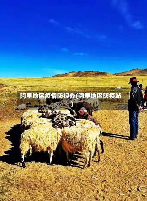 阿里地区疫情防控办(阿里地区防疫站)-第1张图片