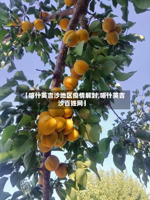 【喀什英吉沙地区疫情解封,喀什英吉沙百姓网】-第2张图片