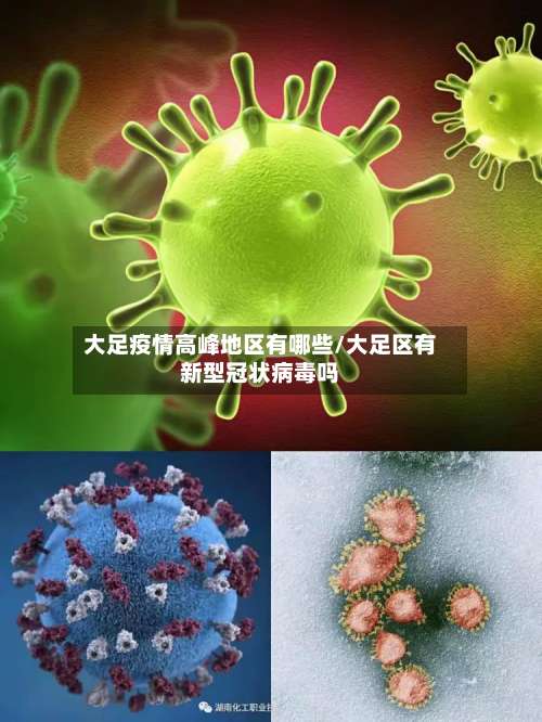 大足疫情高峰地区有哪些/大足区有新型冠状病毒吗-第3张图片