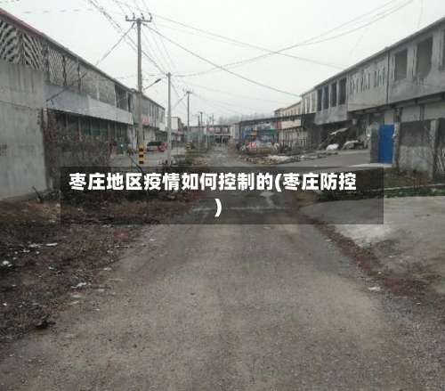 枣庄地区疫情如何控制的(枣庄防控)-第2张图片