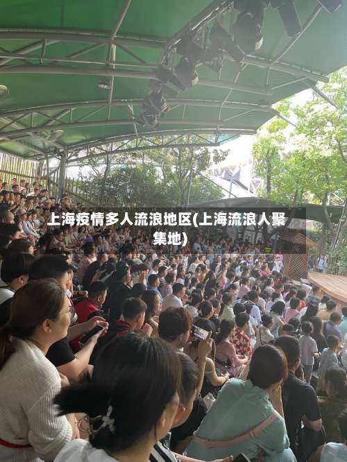 上海疫情多人流浪地区(上海流浪人聚集地)-第3张图片