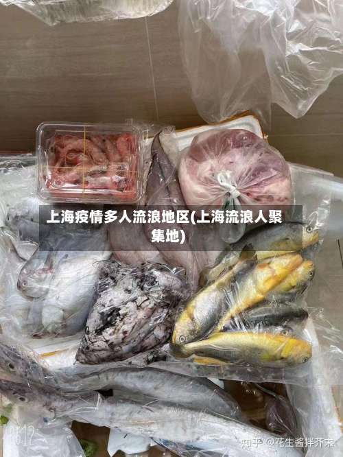 上海疫情多人流浪地区(上海流浪人聚集地)-第1张图片
