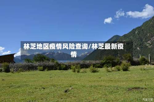 林芝地区疫情风险查询/林芝最新疫情-第2张图片