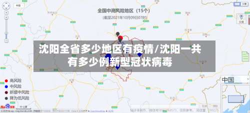沈阳全省多少地区有疫情/沈阳一共有多少例新型冠状病毒-第2张图片