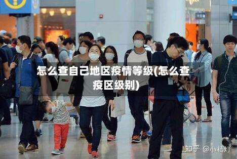 怎么查自己地区疫情等级(怎么查疫区级别)-第3张图片