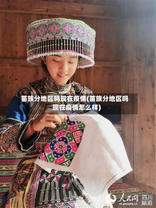 苗族分地区吗现在疫情(苗族分地区吗现在疫情怎么样)-第3张图片
