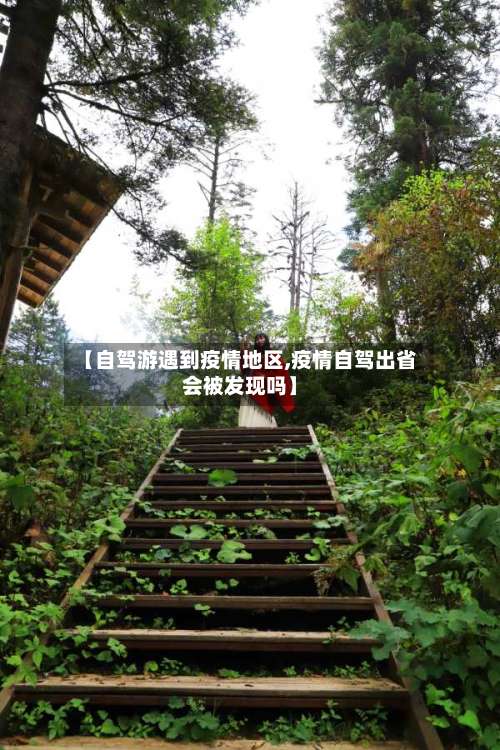 【自驾游遇到疫情地区,疫情自驾出省会被发现吗】-第1张图片