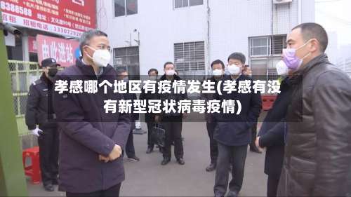 孝感哪个地区有疫情发生(孝感有没有新型冠状病毒疫情)-第1张图片