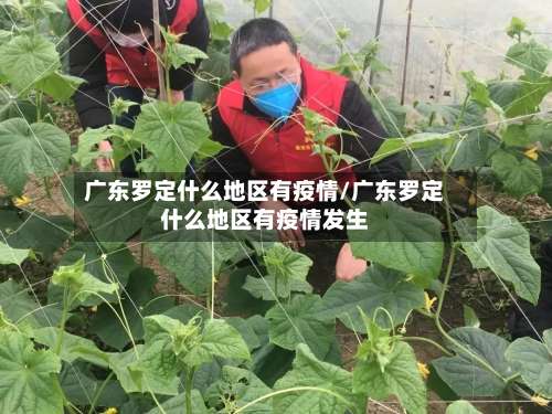广东罗定什么地区有疫情/广东罗定什么地区有疫情发生-第2张图片
