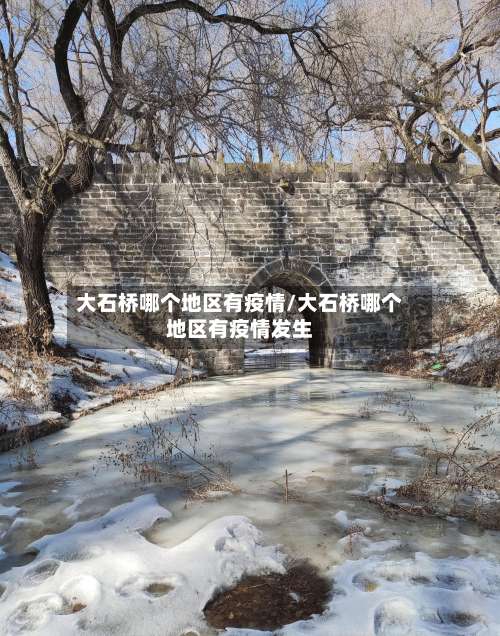 大石桥哪个地区有疫情/大石桥哪个地区有疫情发生-第3张图片