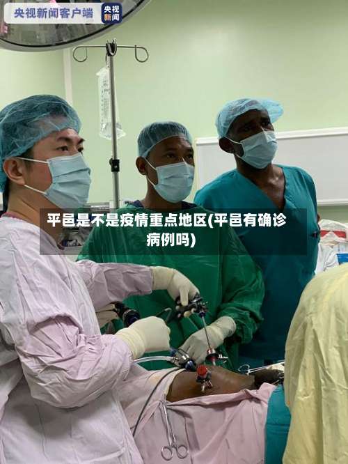 平邑是不是疫情重点地区(平邑有确诊病例吗)-第3张图片