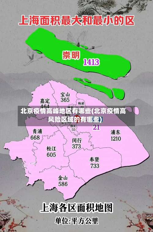 北京疫情高峰地区有哪些(北京疫情高风险区域的有哪些)-第3张图片
