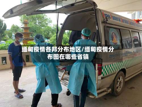 缅甸疫情各邦分布地区/缅甸疫情分布图在哪些省镇-第1张图片