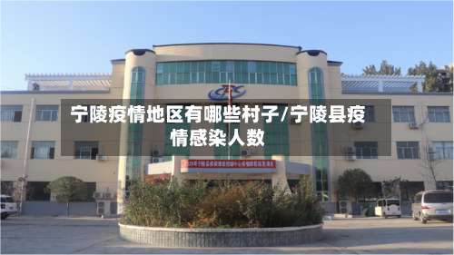 宁陵疫情地区有哪些村子/宁陵县疫情感染人数-第3张图片