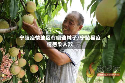 宁陵疫情地区有哪些村子/宁陵县疫情感染人数-第2张图片